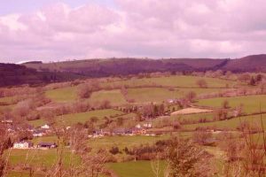 Mid Wales Forest Walk - SDC11219